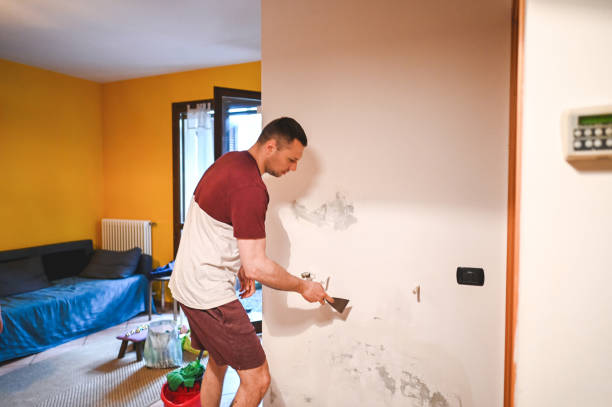 Best Black Mold Remediation in Holmen, WI